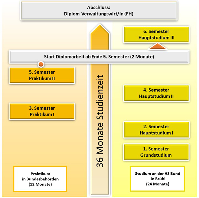 Grafik: Schematische Darstellung des Studienverlaufs.